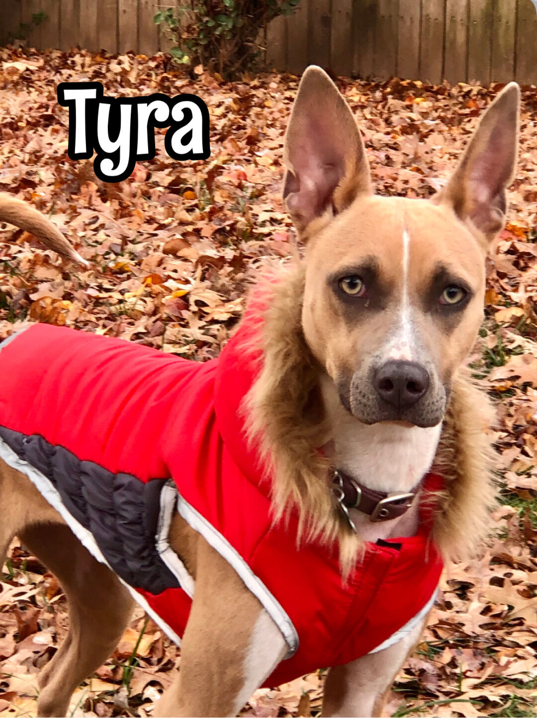 Tyra